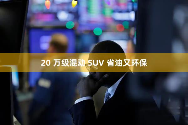 20 万级混动 SUV 省油又环保