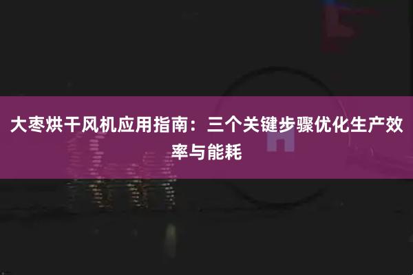 大枣烘干风机应用指南：三个关键步骤优化生产效率与能耗